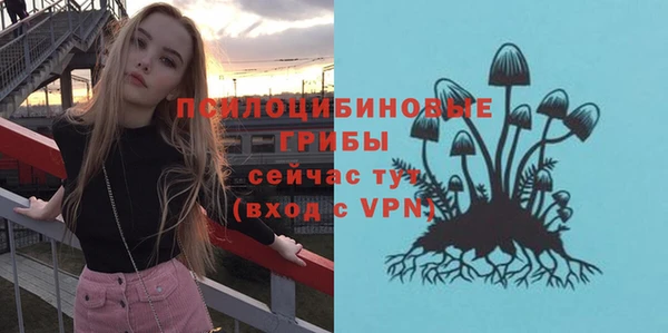 стафф Армянск