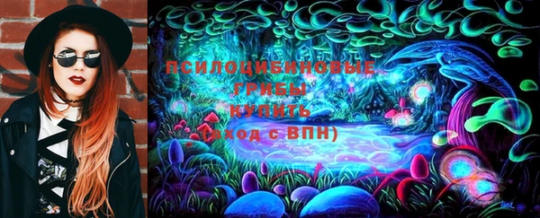 стафф Армянск