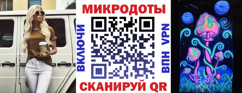 закладки  Красный Кут  Псилоцибиновые грибы Cubensis 